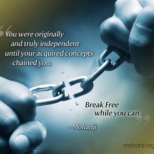 Meet your Posher, Manuel